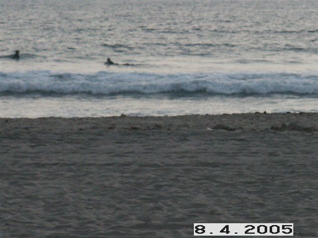 PICT0032.JPG