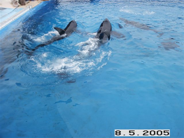 PICT0036.JPG