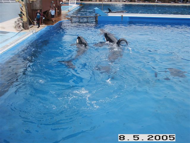 PICT0037.JPG