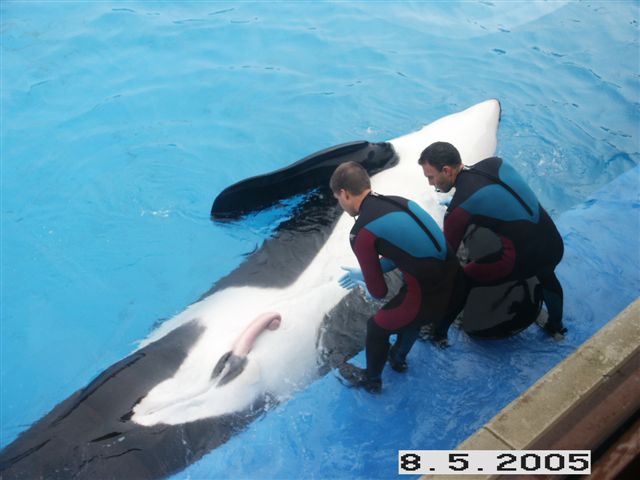 PICT0040.JPG
