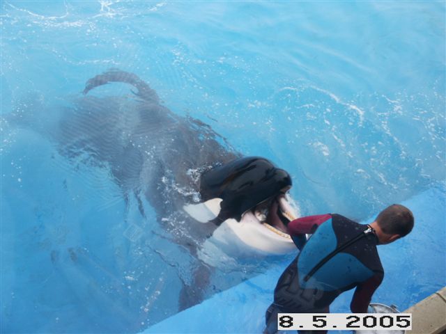 PICT0041.JPG