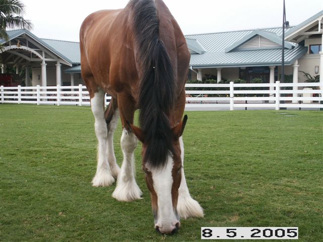 PICT0045.JPG