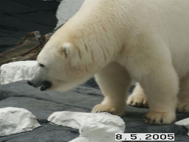 PICT0050.JPG