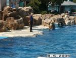 PICT0052.JPG