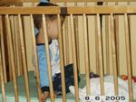 PICT0083.JPG