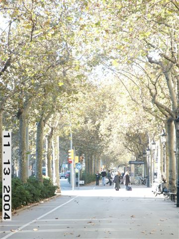 PICT0076