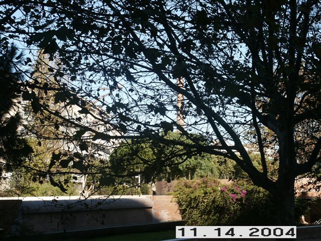 PICT0139