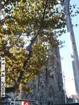 PICT0168