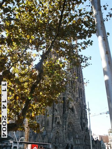 PICT0169