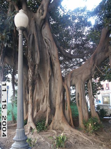 PICT0225