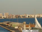PICT0231