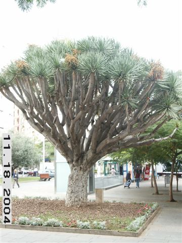 PICT0339
